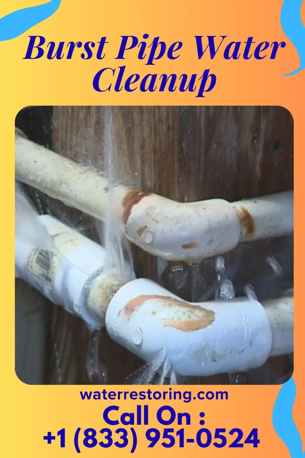 Burst Pipe Water Cleanup in Fanwood, NJ
