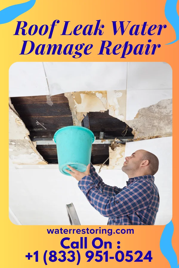 Roof Leak Water Damage Repair in Fanwood, NJ