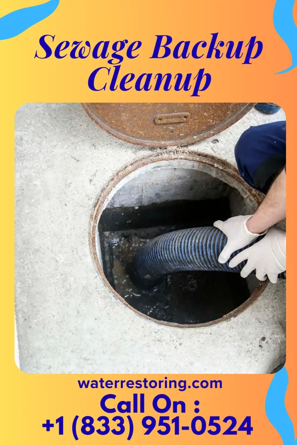 Sewage Backup Cleanup in Fanwood, NJ