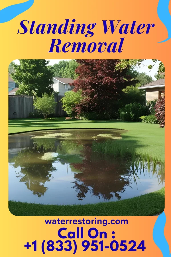 Standing Water Removal in Fanwood, NJ